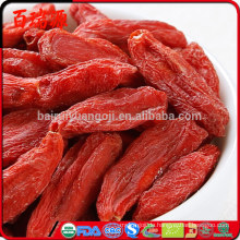 Chinesische hochwertige rote Ningxia Goji Beeren Bio-Trockenfrüchte